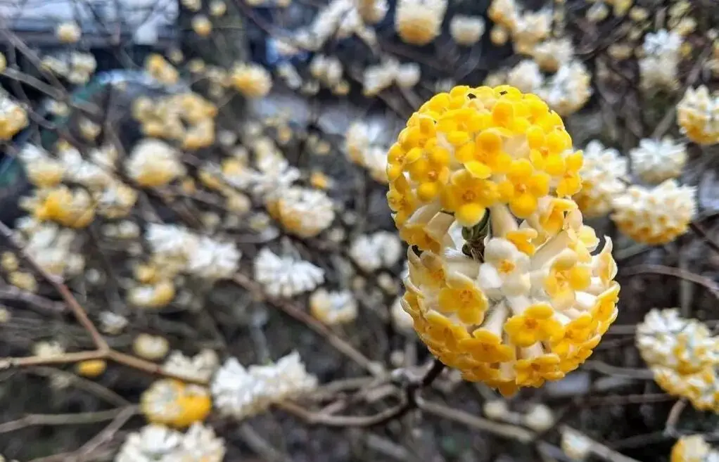 马迹寻青绿 | 第三站:马大箓巷__马迹寻青绿 | 第三站:马大箓巷