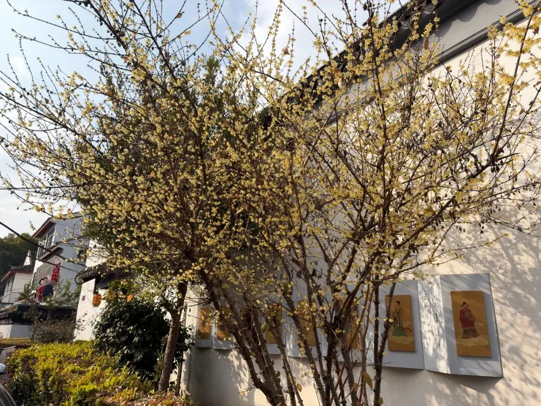 _马迹寻青绿 | 第三站:马大箓巷_马迹寻青绿 | 第三站:马大箓巷