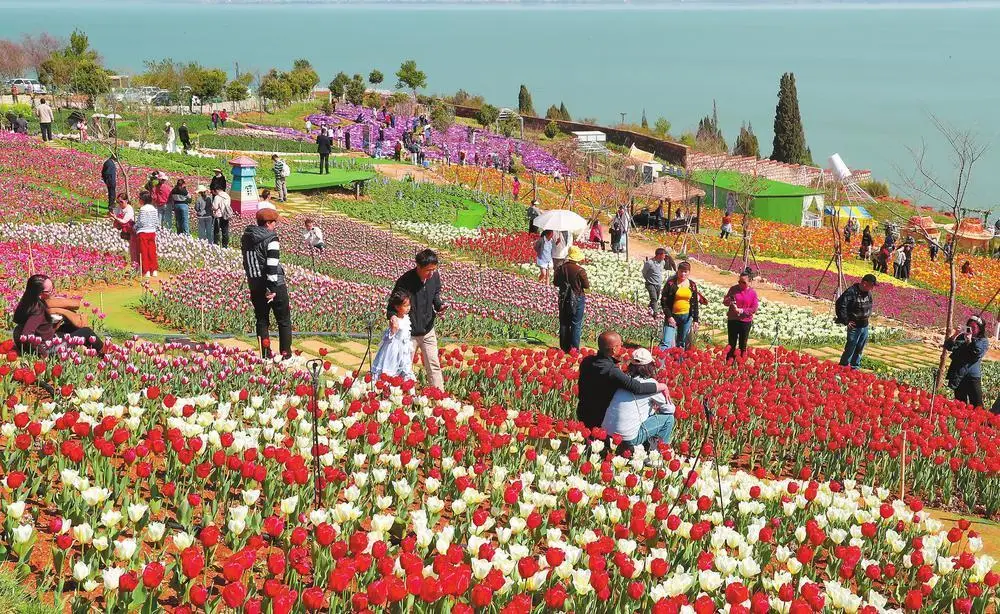 云岭年味浓 假日欢乐多
