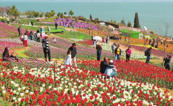 云岭年味浓 假日欢乐多