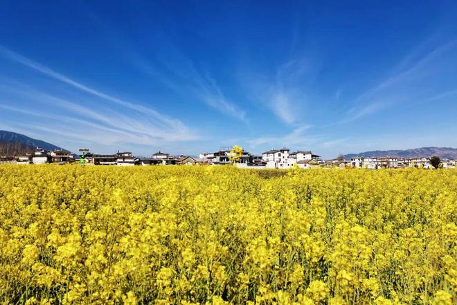 _大理花样年华娱乐会所_大理新年活动