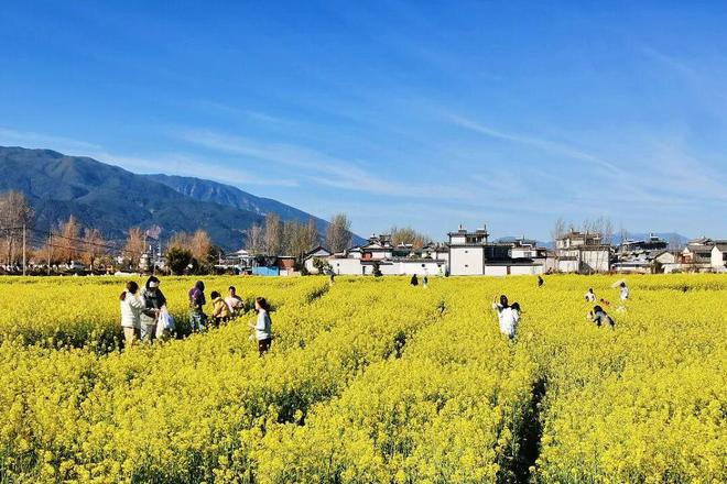 大理新年活动_大理花样年华娱乐会所_