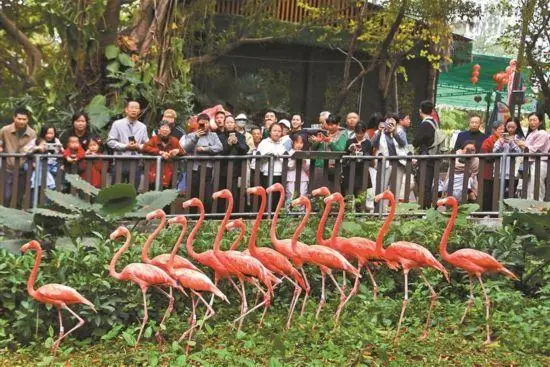 深圳家庭出游好去处_深圳适合家庭出游的地方_