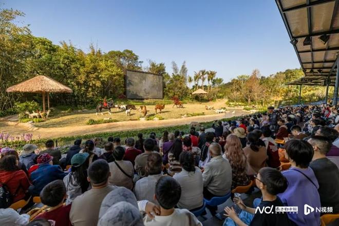 清远长隆度假区春节全新亮相“动物总动员”剧场