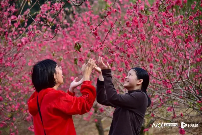 _广东潮汕动物园_潮汕地区古代动物