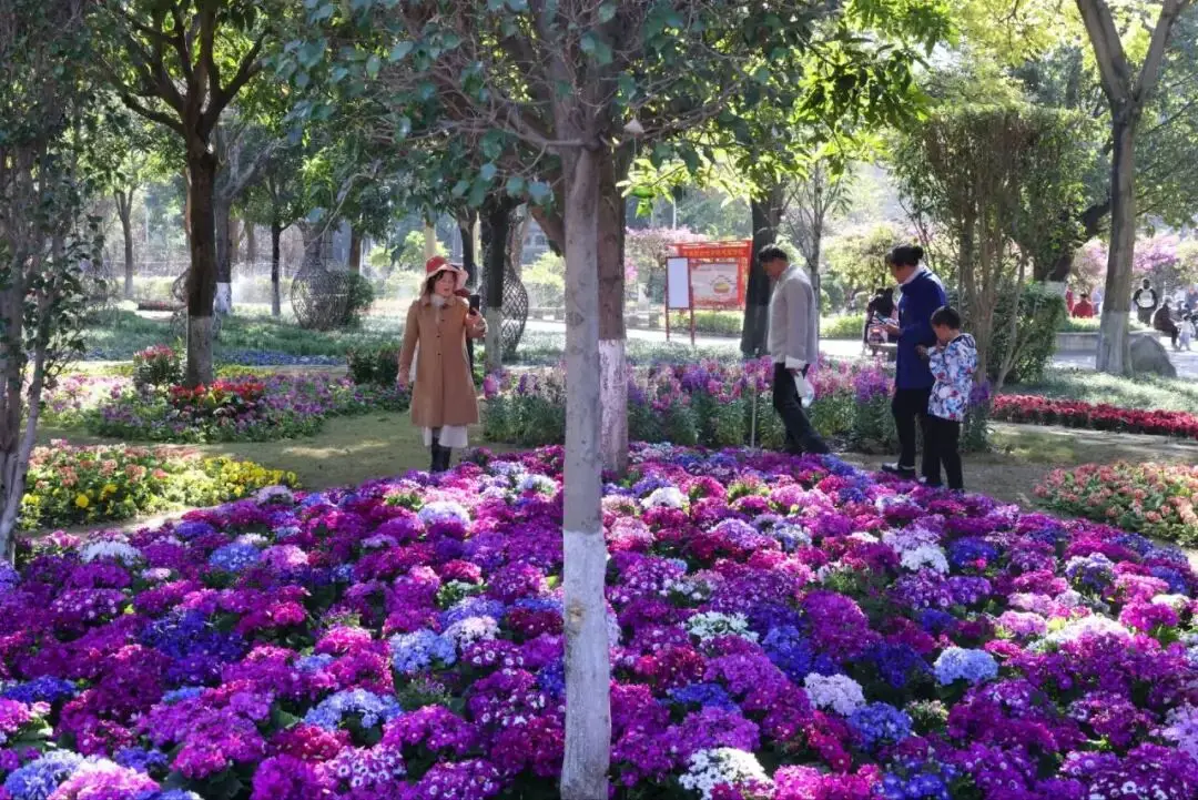 自己做的韩式泡菜可以放多久_上犹县沐足_