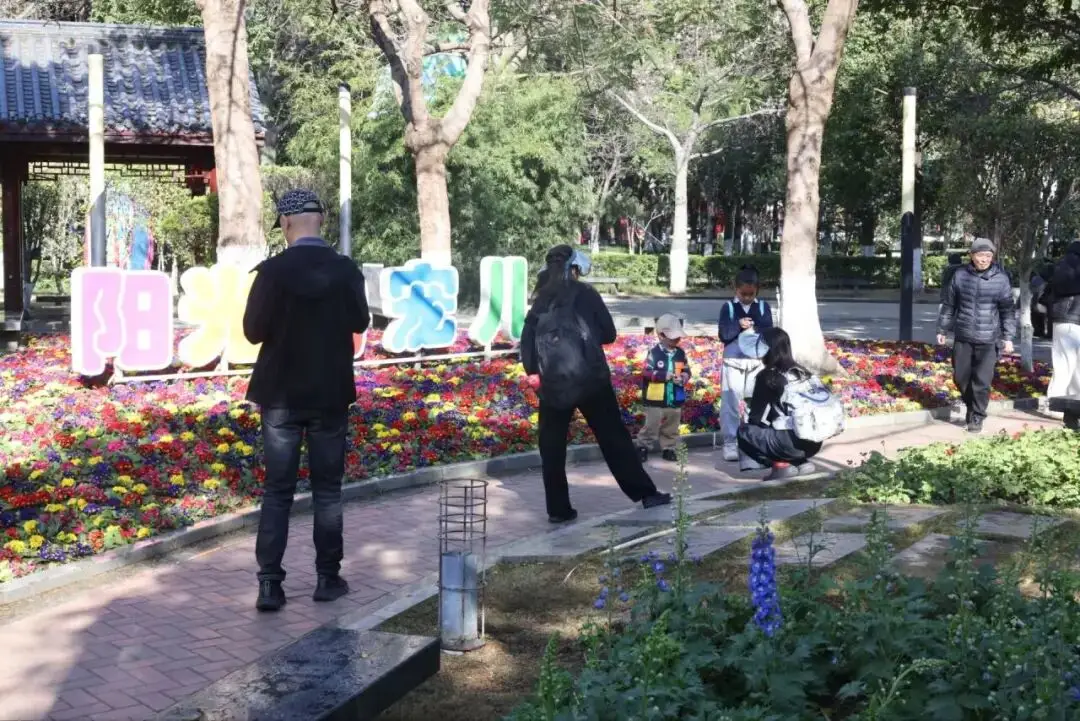 自己做的韩式泡菜可以放多久_上犹县沐足_