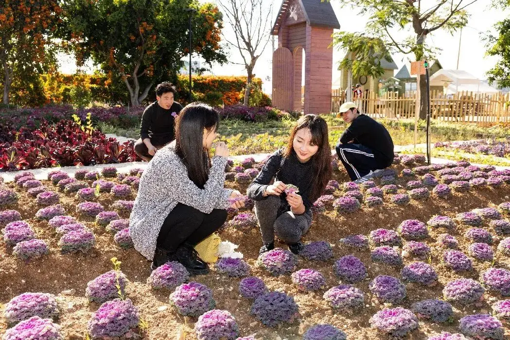 _上犹县沐足_自己做的韩式泡菜可以放多久