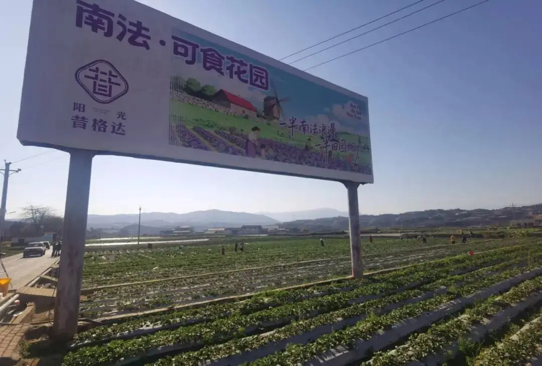 _自己做的韩式泡菜可以放多久_上犹县沐足