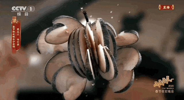 _春晚后劲太大了!再一次爱上了哈尔滨_春晚后劲太大了!再一次爱上了哈尔滨