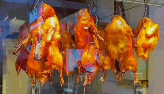 春晚后劲太大了!再一次爱上了哈尔滨_春晚后劲太大了!再一次爱上了哈尔滨_