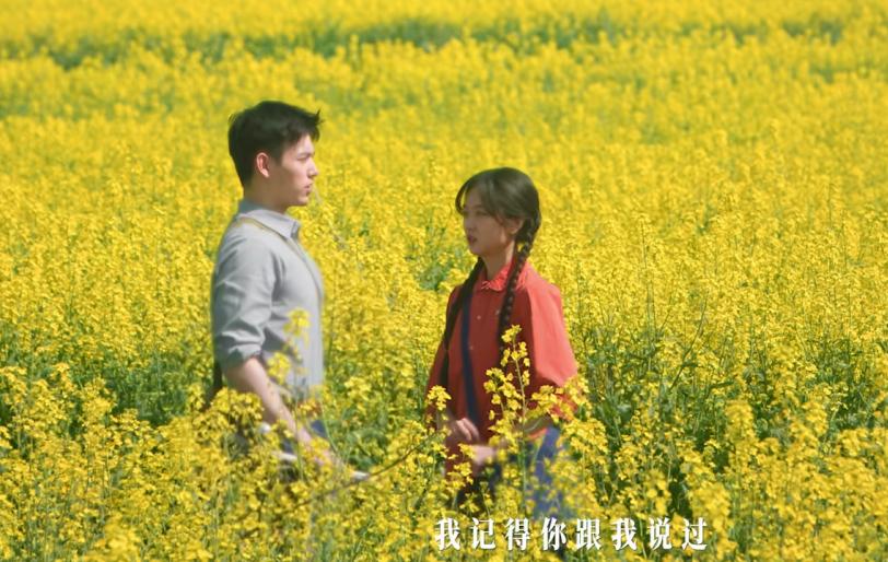 今晚播出的新剧_央视今晚播出的电视剧_