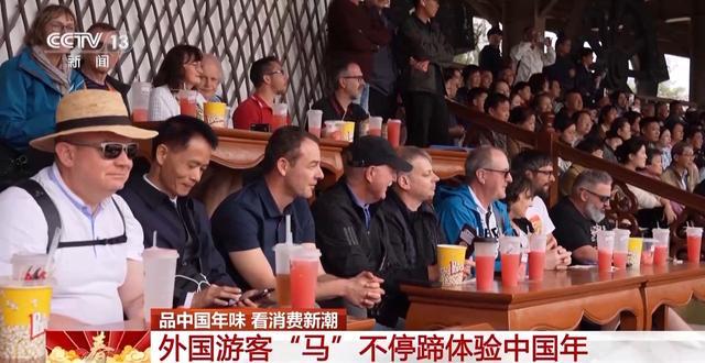 视频丨从一线城市到宝藏小城 外国游客“马”不停蹄过中国年