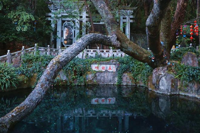 赴大理，认真爱_大理能遇到真爱吗_