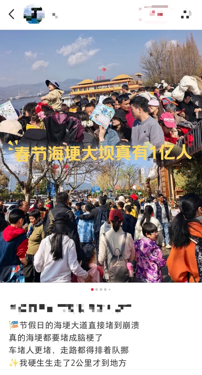 _昆明海鸥路线_去昆明看海鸥坐几号线