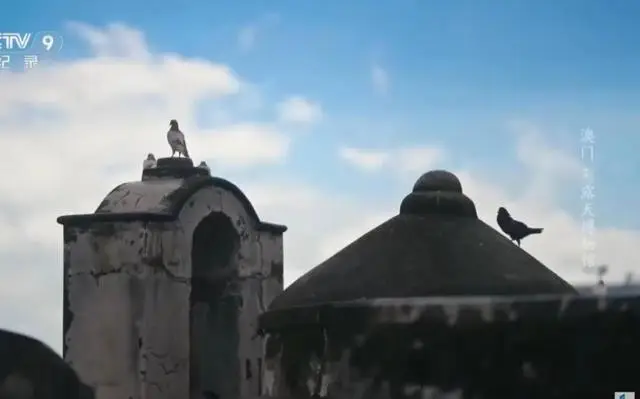 澳门游__澳门游玩视频