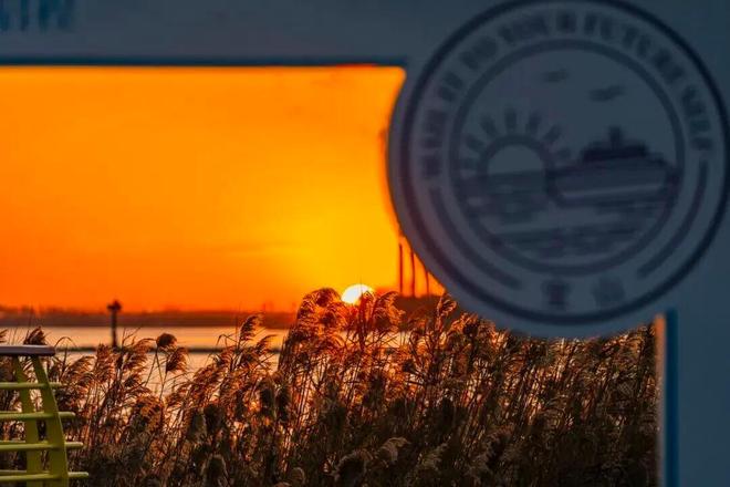 _银河系漫游指南pdf_上海宝山春游好去处