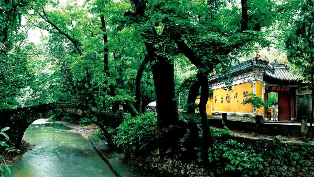 “浙”里过大年 | 天台山新春活动年味满满，走起~__“浙”里过大年 | 天台山新春活动年味满满，走起~