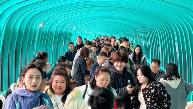 峡谷桥梁建造__大峡谷大桥