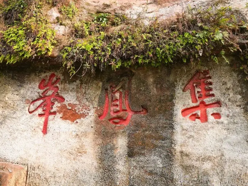 假期的尾巴还是要抓一下_抓住假期的尾巴的说说_