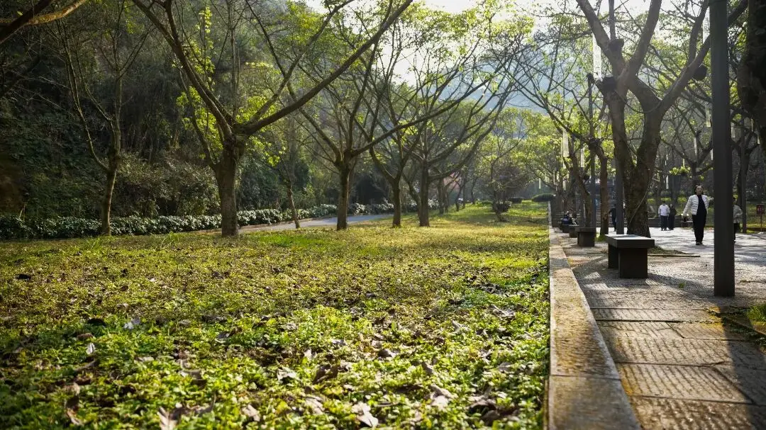 _抓住假期的尾巴的说说_假期的尾巴还是要抓一下