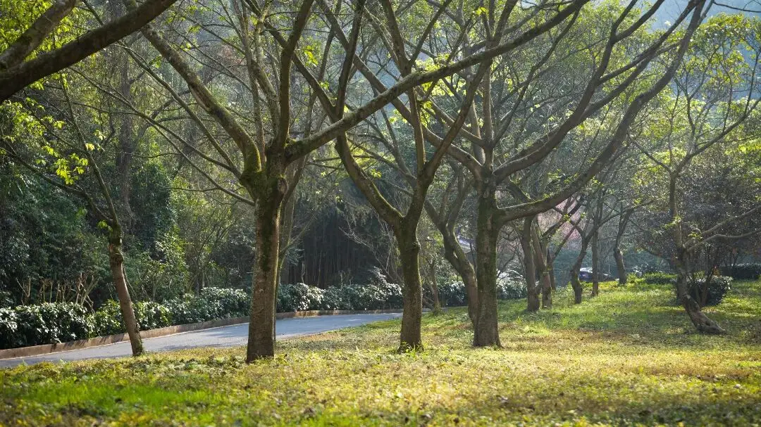 _抓住假期的尾巴的说说_假期的尾巴还是要抓一下