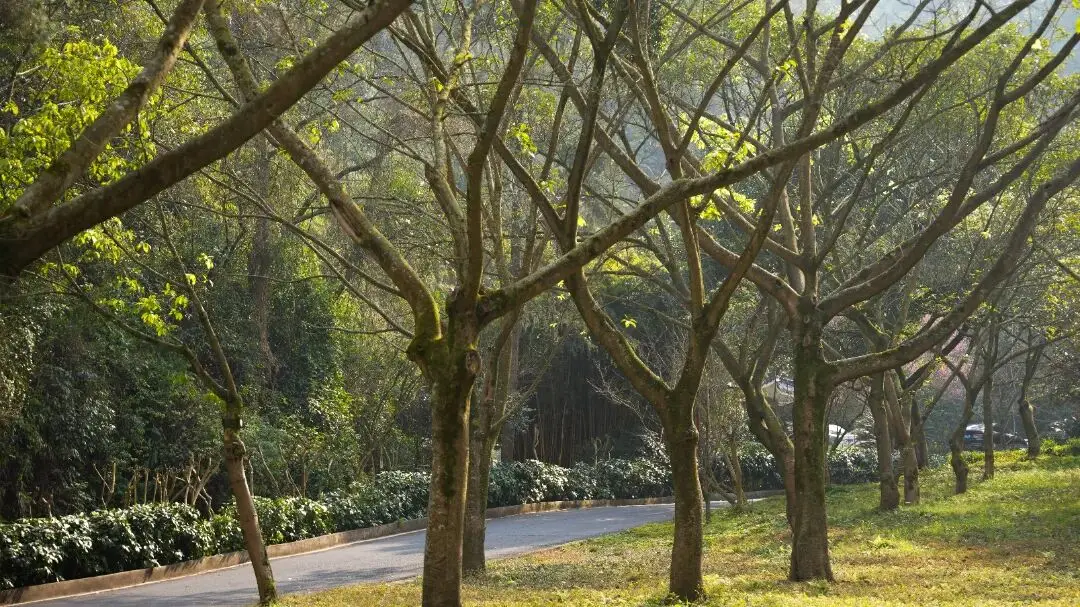 _抓住假期的尾巴的说说_假期的尾巴还是要抓一下