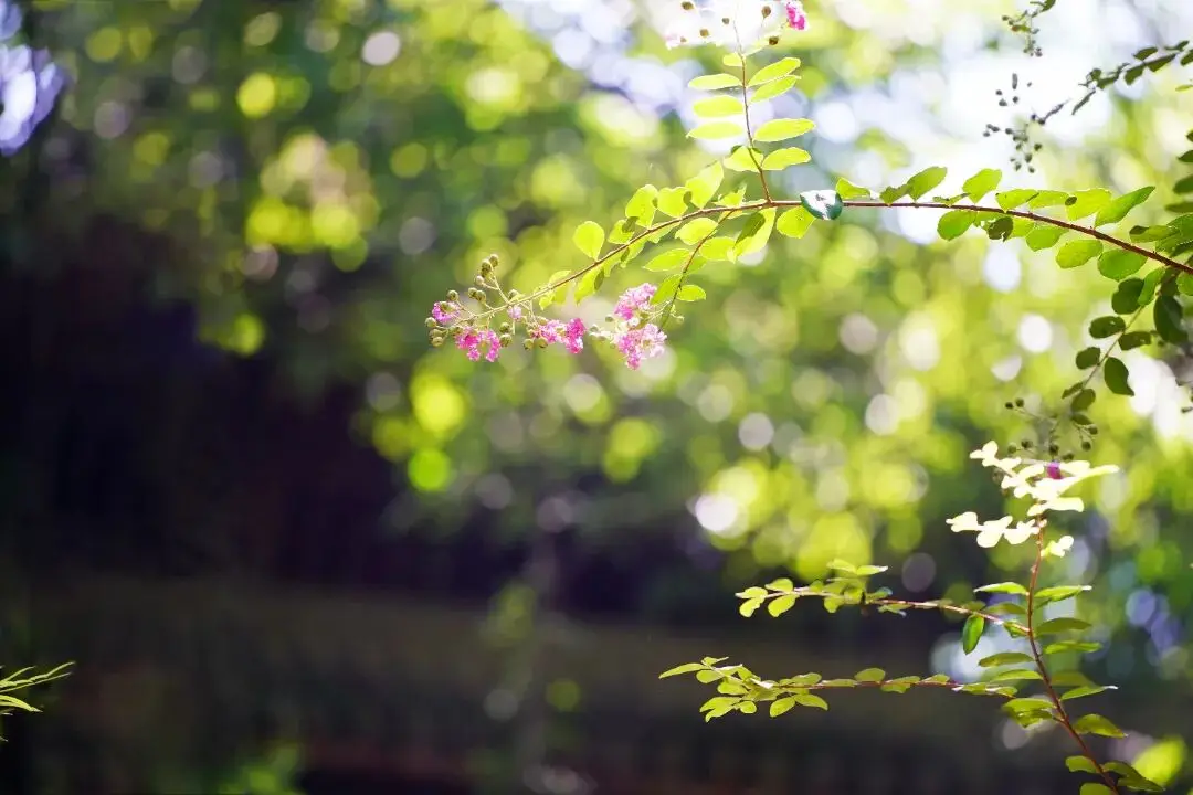 假期的尾巴还是要抓一下__抓住假期的尾巴的说说