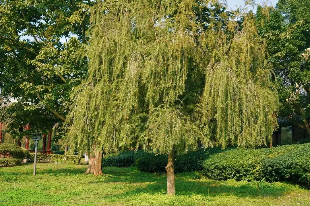 _假期的尾巴还是要抓一下_抓住假期的尾巴的说说