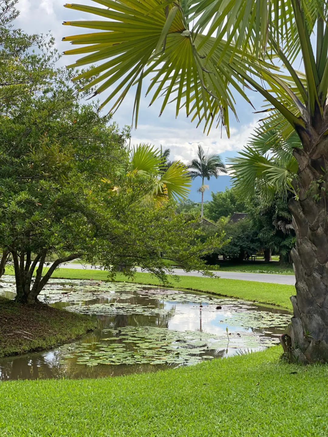 春节出门旅游的人多吗_出去旅游过年_