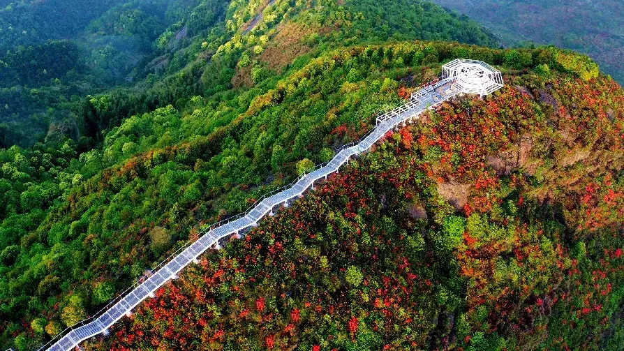 _瑞安市瑞足轩地址_浙江温州瑞安景点