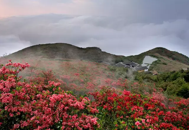 _浙江温州瑞安景点_瑞安市瑞足轩地址