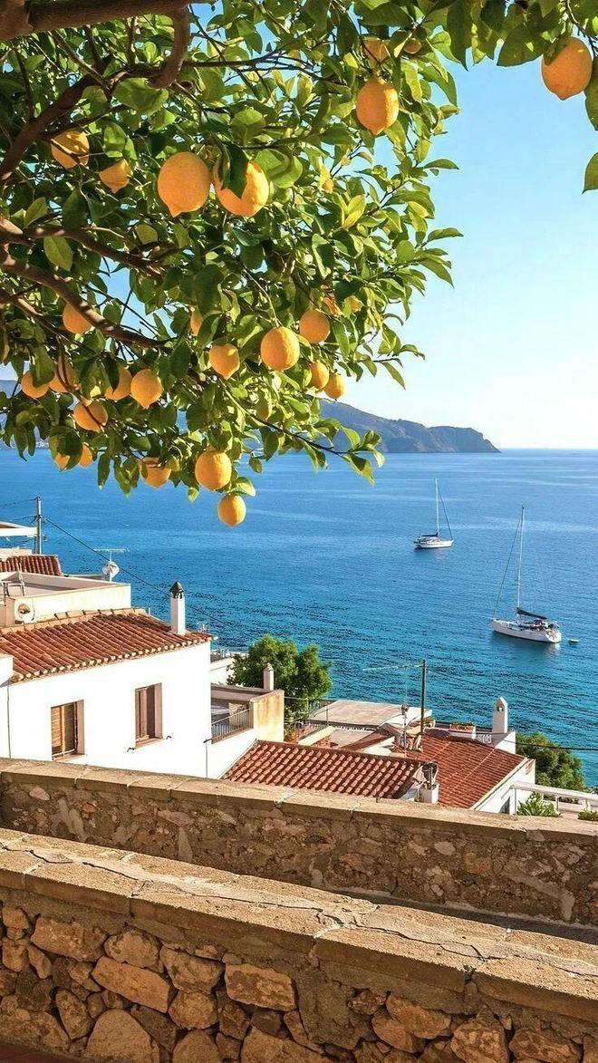 _谷爱凌重伤后摘银,31岁水管工首登冬奥,她们穿的也很精彩!_谷爱凌重伤后摘银,31岁水管工首登冬奥,她们穿的也很精彩!