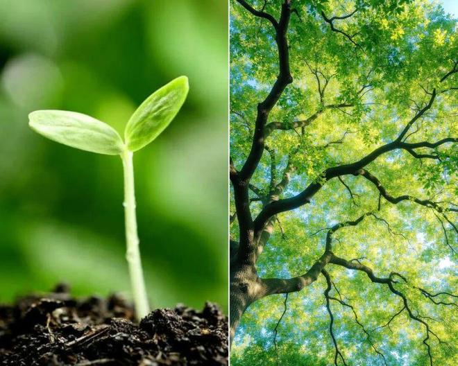 谷爱凌重伤后摘银,31岁水管工首登冬奥,她们穿的也很精彩!_谷爱凌重伤后摘银,31岁水管工首登冬奥,她们穿的也很精彩!_