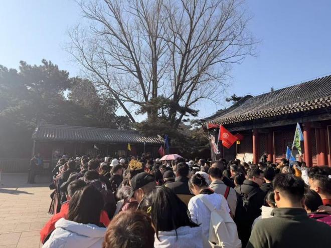 假期多出1天，2026春节出游热度创历史新高｜新春消费青观察