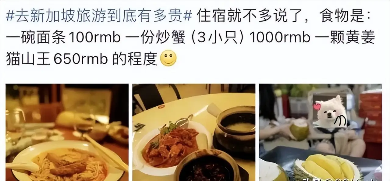 _2020年新加坡入境_新加坡罚款回国后去哪交