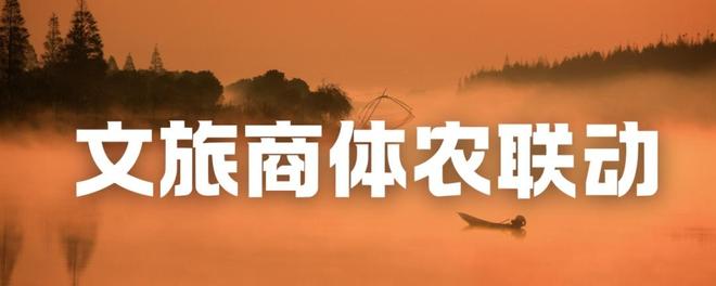 圆满收官!横沙马年新春集市,智能与古风共绘岛上年味新篇章