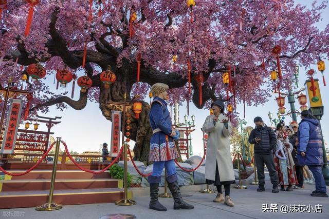 看香头(24香头)图片_环球跑是什么_