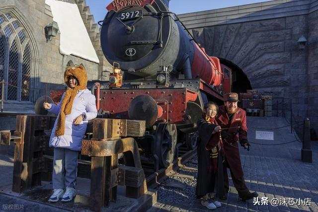 看香头(24香头)图片__环球跑是什么