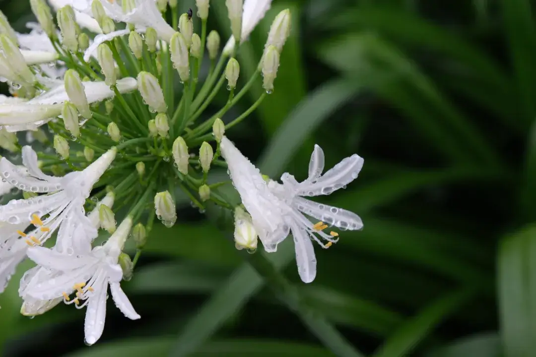瑞安市瑞足轩电话_瑞安玩乐_