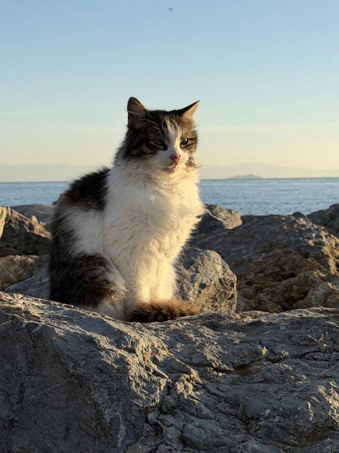 _伊斯坦布尔欧洲部分_伊斯坦布尔是欧洲第几大城市