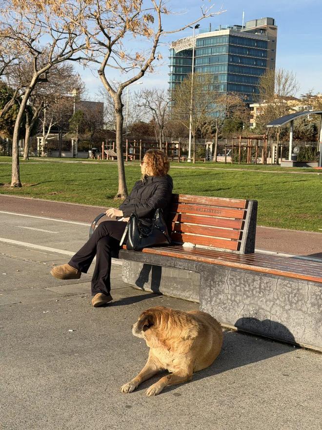 伊斯坦布尔欧洲部分_伊斯坦布尔是欧洲第几大城市_