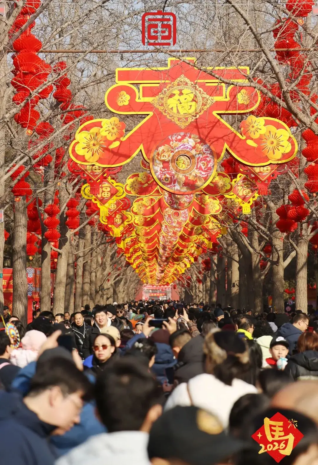 春节特刊 | 2026年春节出游：多元交融下的复苏与新象_春节特刊 | 2026年春节出游：多元交融下的复苏与新象_