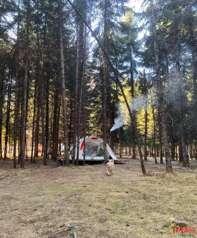 _欧洲露营营地_反向旅游