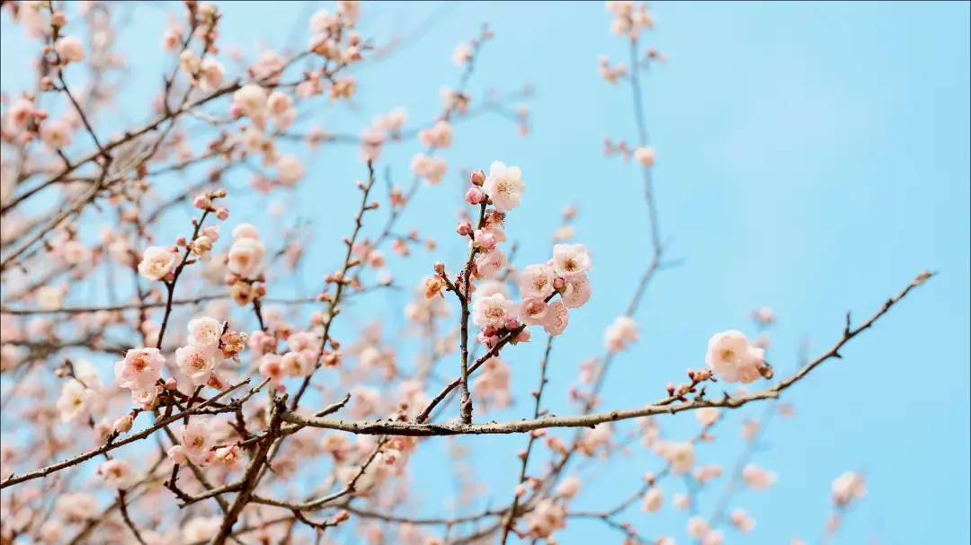 假期 “余额” 仅剩最后一天！菏泽这几处宝藏打卡地，再不去就错过啦！__假期 “余额” 仅剩最后一天！菏泽这几处宝藏打卡地，再不去就错过啦！
