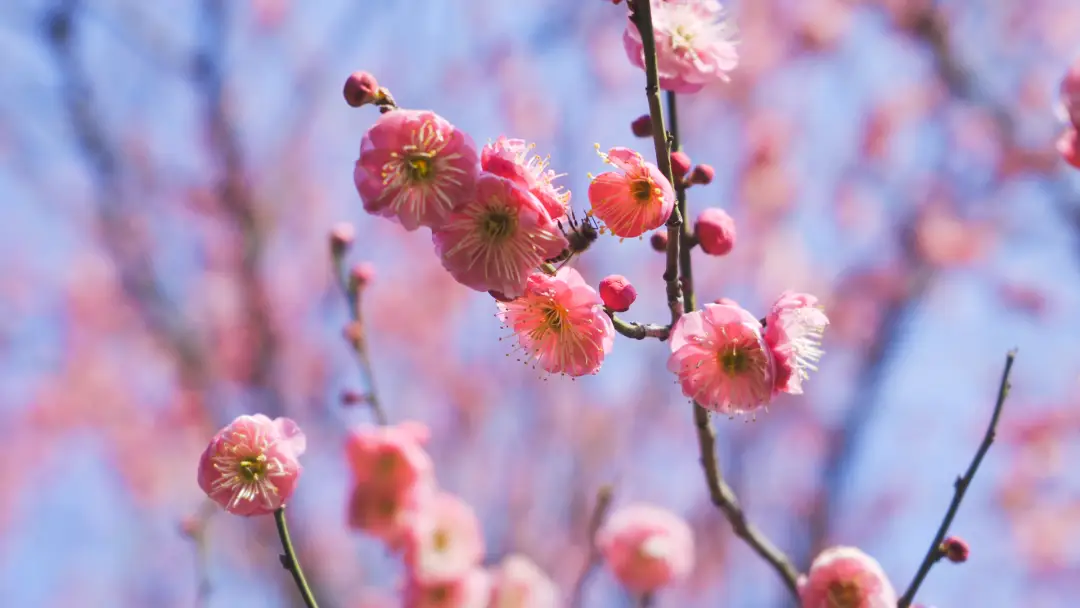 假期 “余额” 仅剩最后一天！菏泽这几处宝藏打卡地，再不去就错过啦！_假期 “余额” 仅剩最后一天！菏泽这几处宝藏打卡地，再不去就错过啦！_