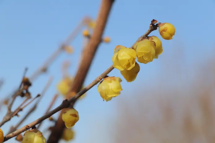 _假期 “余额” 仅剩最后一天！菏泽这几处宝藏打卡地，再不去就错过啦！_假期 “余额” 仅剩最后一天！菏泽这几处宝藏打卡地，再不去就错过啦！