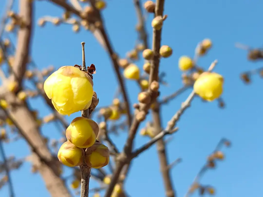 假期 “余额” 仅剩最后一天！菏泽这几处宝藏打卡地，再不去就错过啦！_假期 “余额” 仅剩最后一天！菏泽这几处宝藏打卡地，再不去就错过啦！_