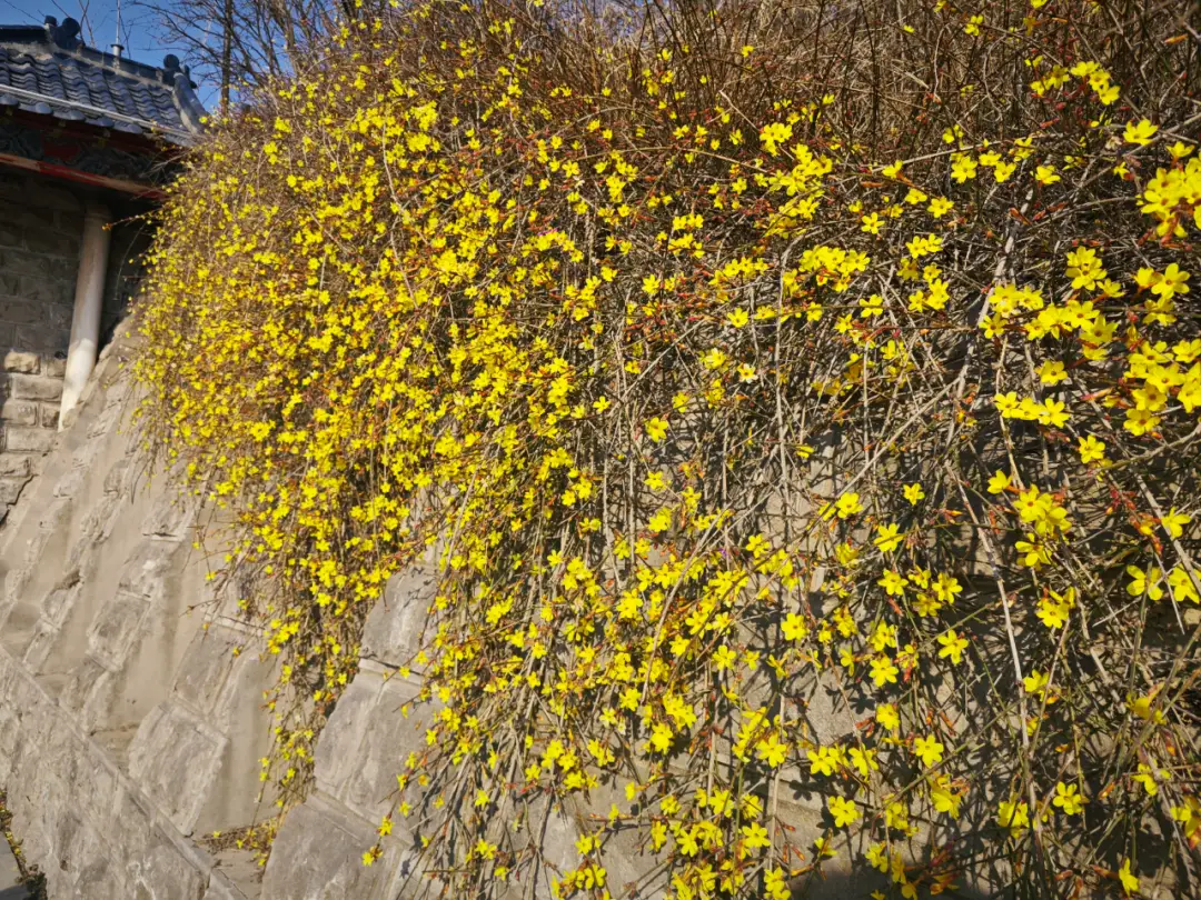 _假期 “余额” 仅剩最后一天！菏泽这几处宝藏打卡地，再不去就错过啦！_假期 “余额” 仅剩最后一天！菏泽这几处宝藏打卡地，再不去就错过啦！