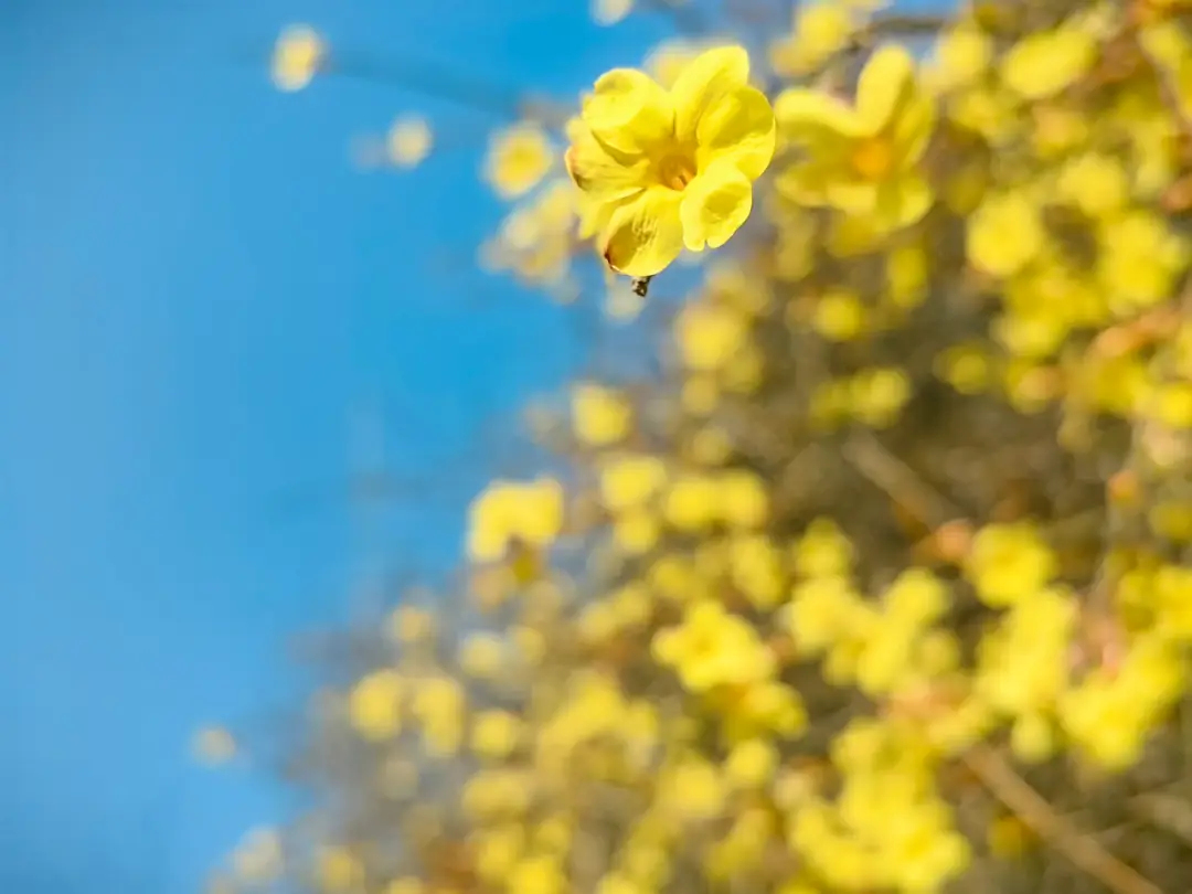 假期 “余额” 仅剩最后一天！菏泽这几处宝藏打卡地，再不去就错过啦！__假期 “余额” 仅剩最后一天！菏泽这几处宝藏打卡地，再不去就错过啦！